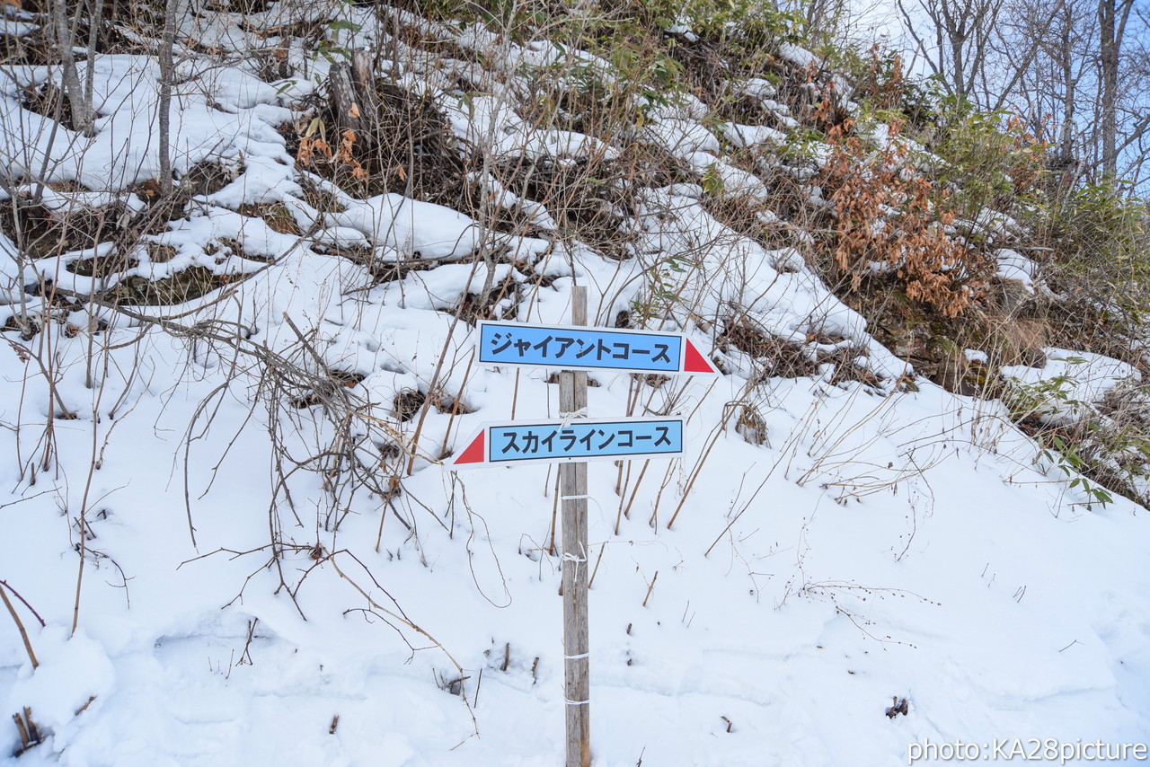 新得山スキー場　ゲレンデトップから滑走可能。ゲレンデ脇をJRの列車が走る十勝のローカルゲレンデ(^^)/